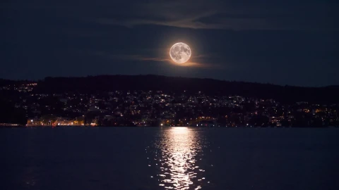 Lake Zurich Switzerland Live Wallpaper - Free Live Wallpaper