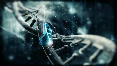 Nano Schematic Infralapis LIve Wallpaper Free - Free Live Wallpaper