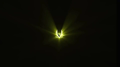 ZOTAC Gaming GeForce RTX 20 Series Logo Live Wallpaper - Free Live Wallpaper