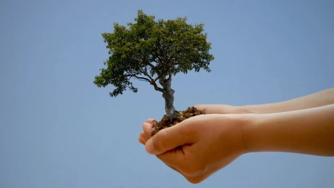 Happy Earth Day HD Live Wallpaper - Free Live Wallpaper