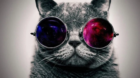 Cat Space Glasses Live Wallpaper - Free Live Wallpaper