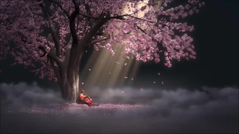 Sakura Tree And Sitting Girl Live Wallpaper - Free Live Wallpaper
