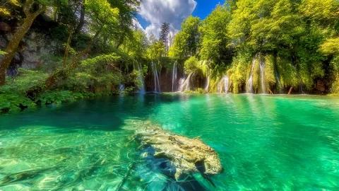 Plitvice  Croatia  Parks  Lake  Waterfall  Live  Wallpaper - Free Live Wallpaper