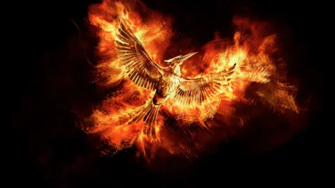 The  Hunger  Games  Mockingjay  Live  Wallpaper - Free Live Wallpaper
