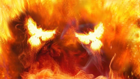 Birds  And  Fire  Live  Wallpaper - Free Live Wallpaper
