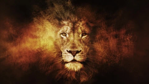 Lion  Head  In  Fire  Fantasy  Live  Wallpaper - Free Live Wallpaper