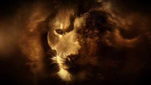 Lion  Head  Fantasy  Dust  Live  Wallpaper - Free Live Wallpaper