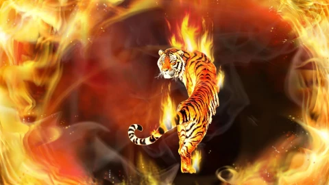 Tiger  In  Flames  Digital  Art  2K  Live  Wallpaper - Free Live Wallpaper