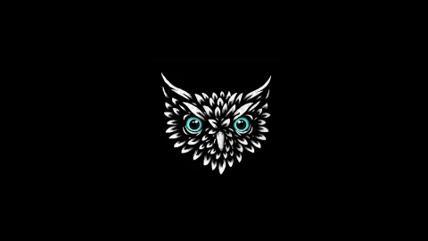 Animated Owl Head Live Wallpaper - Free Live Wallpaper