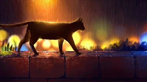 Black Cat in The Rain With Lights Around Live Wallpaper HD - Free Live Wallpaper