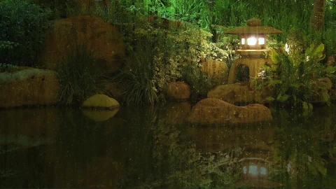 Lantern Showers Hd Live Wallpaper - Free Live Wallpaper