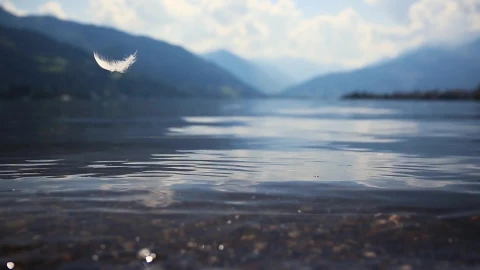 Manchmal Ist Es Federleicht HD Live Wallpaper - Free Live Wallpaper
