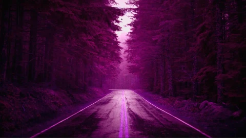 Dark Rain Forest Road Live Wallpaper - Free Live Wallpaper