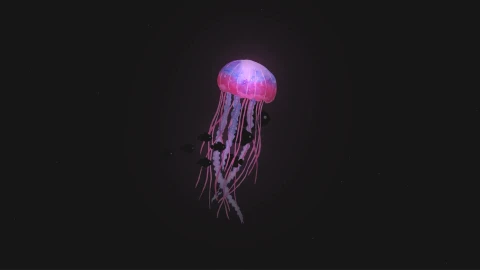 Jellyfish And Black Fish Swimming Live Wallpaper - Free Live Wallpaper