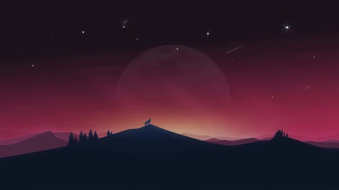 Lonely Wolf Under The Night Sky 4k Live Wallpaper - Free Live Wallpaper