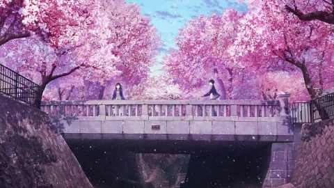 For Windows and Mac Anime Couple On Bridge With Cherry Blossom PC Live Wallpaper - Free Live Wallpaper