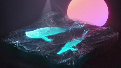 3D Whales Live Wallpaper - Free Live Wallpaper