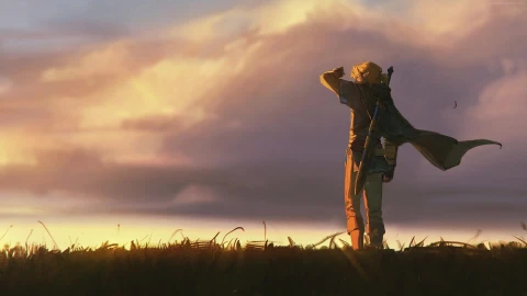 PC Animated Link Sunset Legend of Zelda Live Wallpaper - Free Live Wallpaper