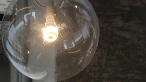 Coverr lamp PC Live Wallpaper - Free Live Wallpaper