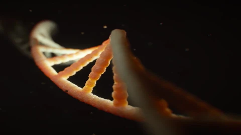 Dna Windows Animated Wallpaper - Free Live Wallpaper