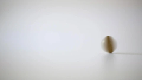 Head or Tails Windows Animated Wallpaper - Free Live Wallpaper