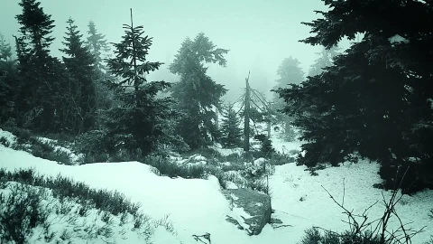 Mountains Forest Windows Animated Wallpaper - Free Live Wallpaper