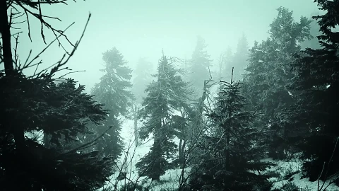 Mountains Snow Windows Animated Wallpaper 2 - Free Live Wallpaper
