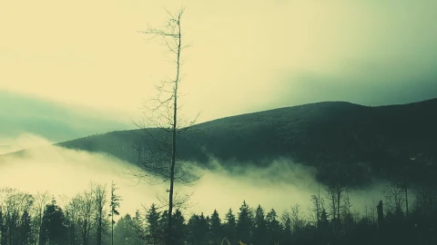 Mountains Windows Animated Wallpaper - Free Live Wallpaper
