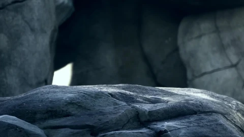 Polar Bear Windows Animated Wallpaper - Free Live Wallpaper