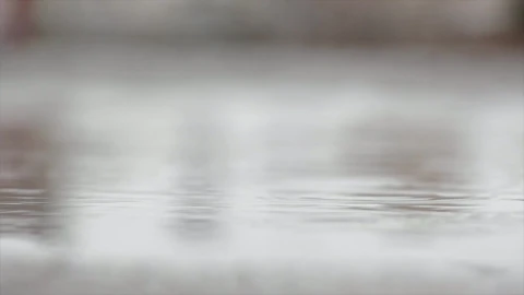 Rain Drops Windows Animated Wallpaper - Free Live Wallpaper