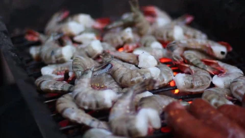 shrimps PC Live Wallpaper - Free Live Wallpaper