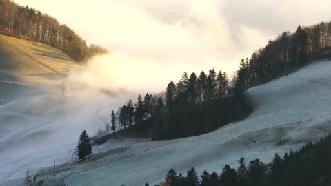 Wave Of Fog Windows Animated Wallpaper - Free Live Wallpaper