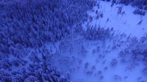 Winter Windows Animated Wallpaper - Free Live Wallpaper