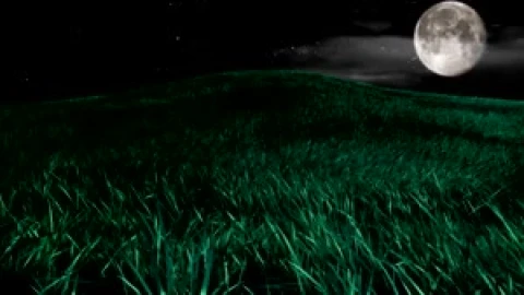 Blissful Night 3D Nature Animation Live Wallpaper - Free Live Wallpaper