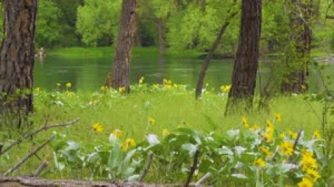 Bowl and Pitcher Trail Stream Live Wallpaper - Free Live Wallpaper