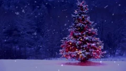 Christmas Tree Snow Live Wallpaper - Free Live Wallpaper