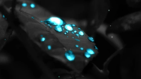 PC Water Droplets HD Live Wallpaper - Free Live Wallpaper
