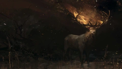 PC Deer HD Live Wallpaper - Free Live Wallpaper