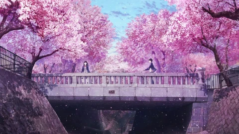 PC Sakura Petals Bridge HD Live Wallpaper - Free Live Wallpaper