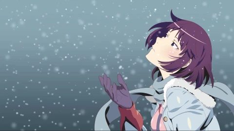 Hitagi Senjougahara Monogatari Anime Pc Live Wallpaper - Free Live Wallpaper