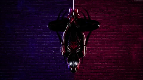 Cool Spiderman Hanging 4k Live Wallpaper Marvel Spiderman No Way Home - Free Live Wallpaper
