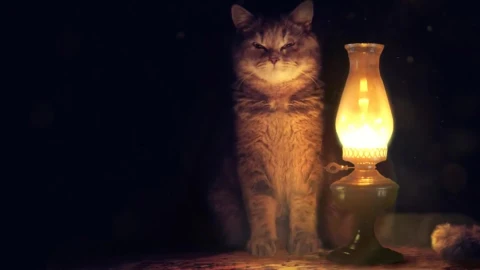 Live Wallpaper Cat - Free Live Wallpaper