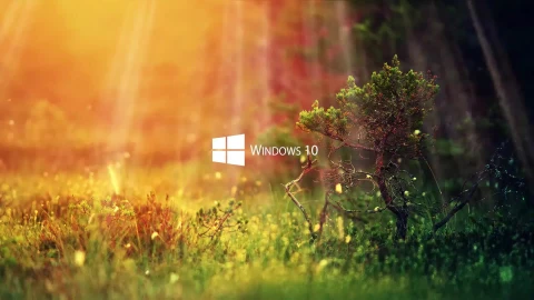 Live Wallpaper Windows 10 Nature Live Wallpaper - Free Live Wallpaper