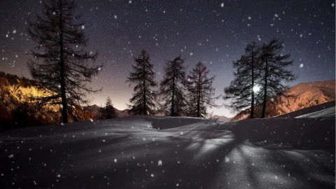 Winter Sun Animated Wallpaper  Wallpaper Engine - Free Live Wallpaper