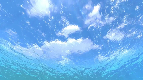 PC Underwater Live Wallpaper - Free Live Wallpaper