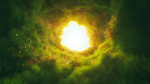 PC Tunnel Grass Live Wallpaper - Free Live Wallpaper