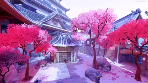 PC Cherry Blossom Live Wallpaper - Free Live Wallpaper