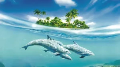 Fondo de Pantalla Animado de Delfín En la Playa 🌊 en Movimiento - Free Live Wallpaper