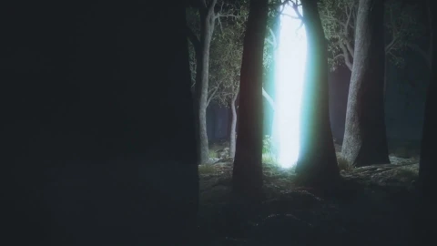PC Light Beam Forest Live Wallpaper - Free Live Wallpaper