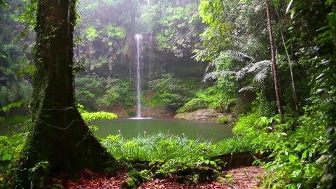 PC TropicalWaterfall Live Wallpaper - Free Live Wallpaper